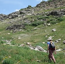 Karen Newton, Montana Natural heritage Program